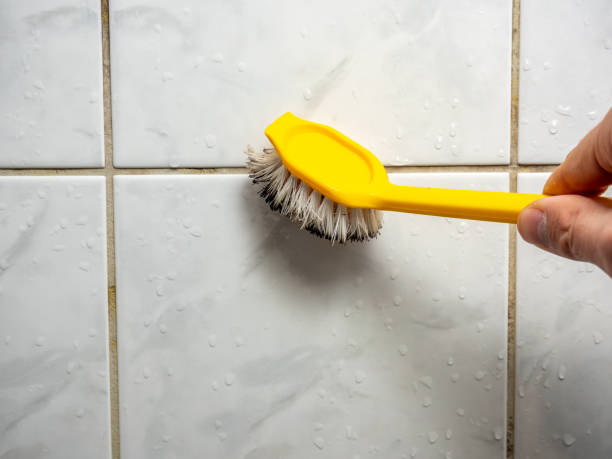 Best Residential Mold Remediation in Shingletown, CA